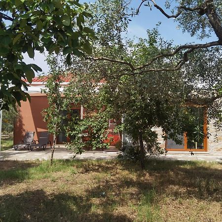 Elea Stone Houses In Organic Quiet Olive Grove, Prinos, Thassos Quarto foto