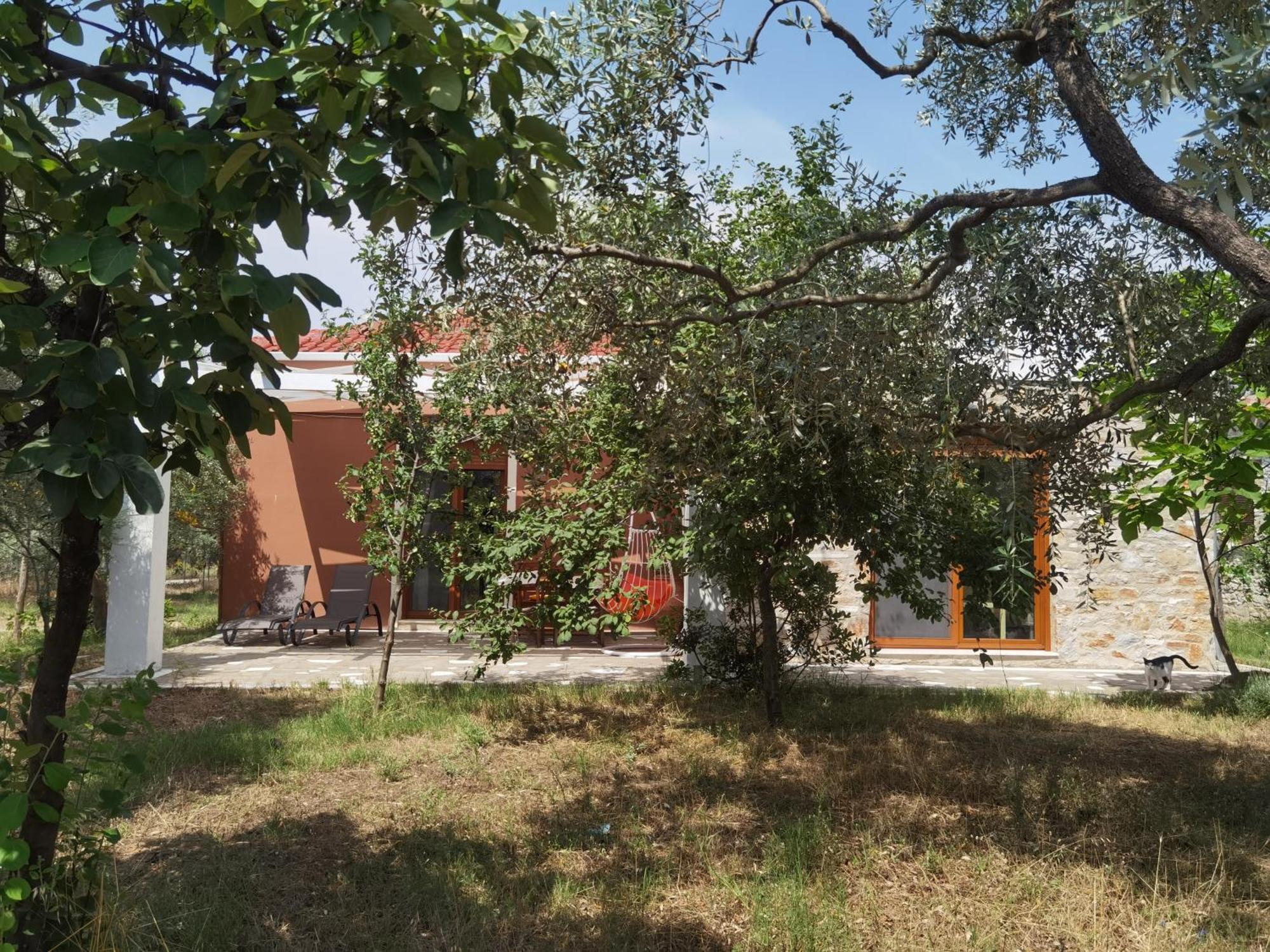 Elea Stone Houses In Organic Quiet Olive Grove, Prinos, Thassos Quarto foto